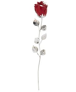 Alternative view of ROSA CM 33 – ROSSO