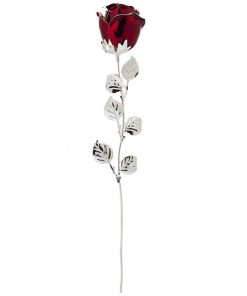 ROSA CM 33 – BORDEAUX