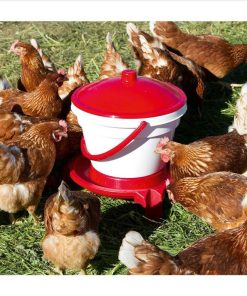 Abbeveratoio per pollame con secchiello